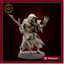 Undead Viking Draugr Wizard Shaman