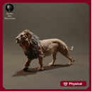 Lion 1/43