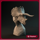 Triceratops bust