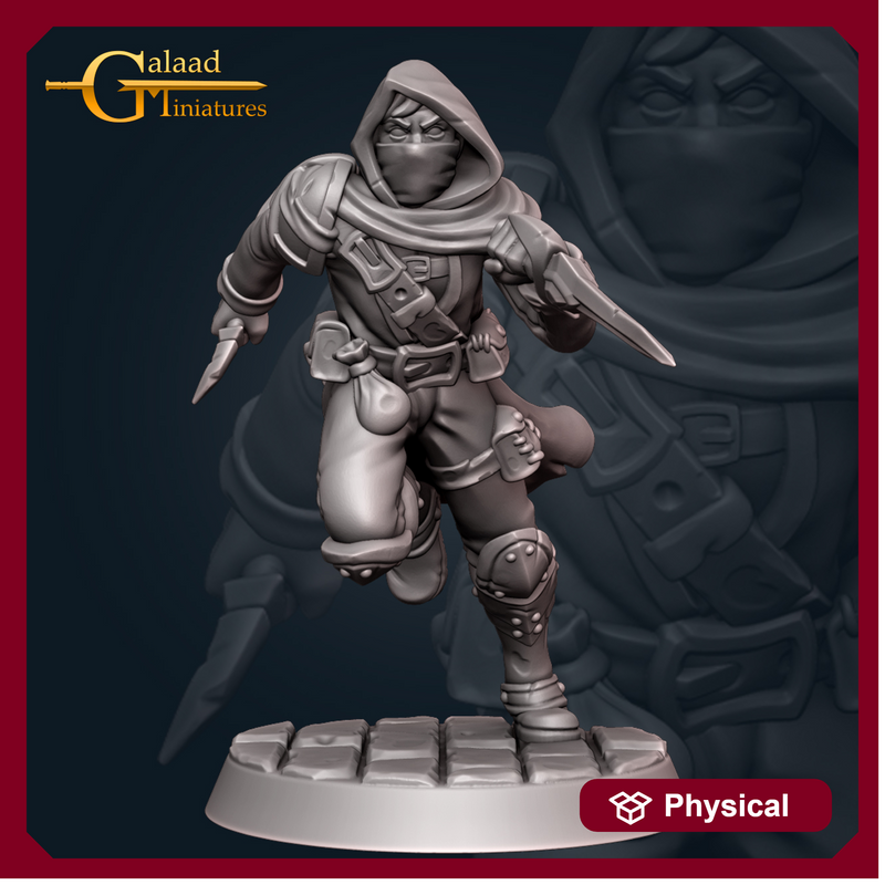 Rogue Male Human