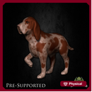 Rusty The Dog [PRE-SUPPORTED]