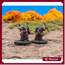 Clash of Rhyfles: Fidwog Officers