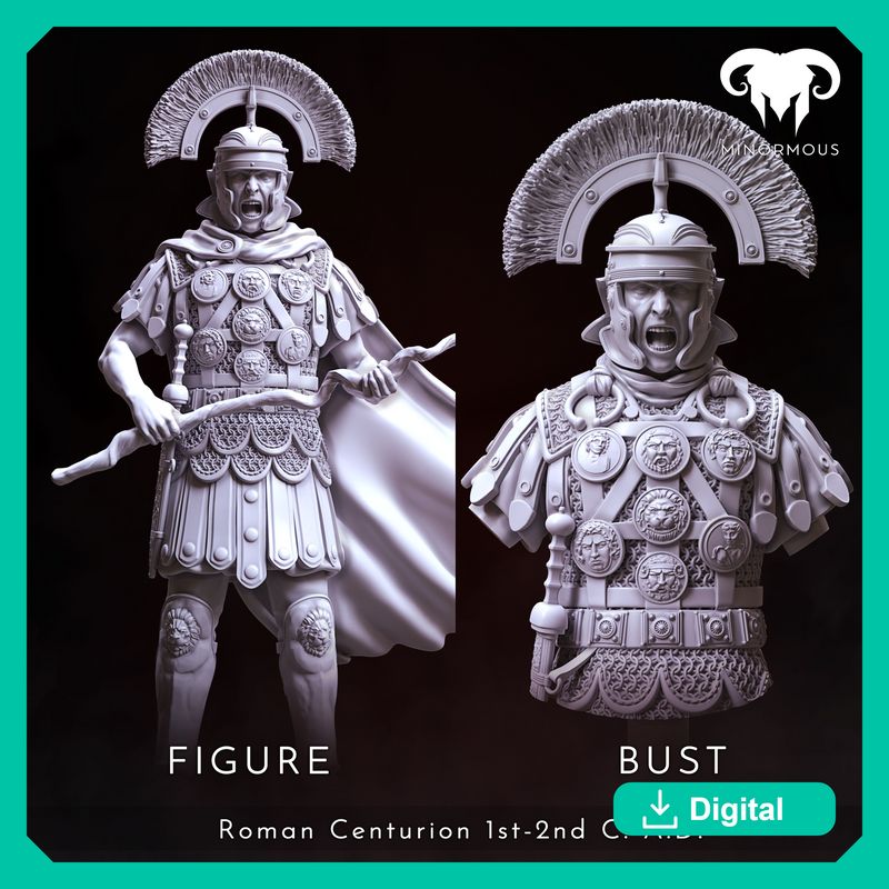 Bundle - Roman Centurion 1st-2nd C. A.D. Discipline and Order!