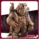 Tortle Pirate