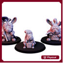 The year of the rabbit starplayer