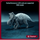 Pachyrhinosaurus walking 1-35 scale  dinosaur