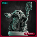 (0231) Male turtle folk summoner wizard druid with a magic stick