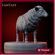 Sheep 1 - Only-Games