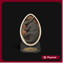 Styracosaurus embryo pre colored