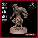 Raven Shade (Sculpt 4) - 40mm / 32mm Scale