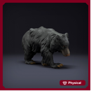 Sloth Bear 1/43