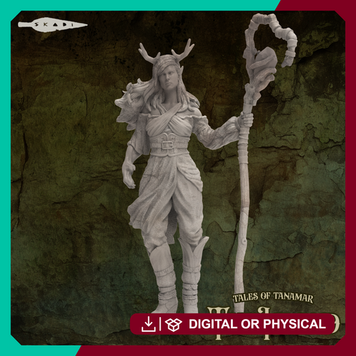Suamy / Adventurer / elf druid - Only-Games