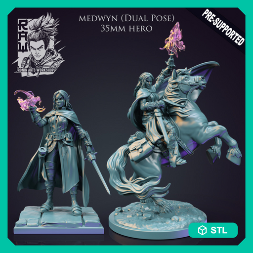 Medwyn The Warlock - Idle and Action Pose - STL only - Only-Games