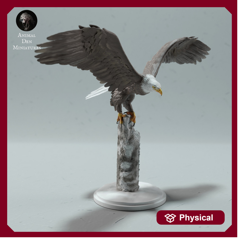 Bald Eagle