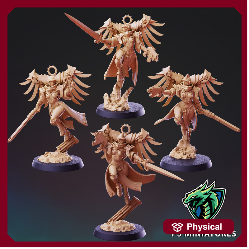 Divine Order Valkyrie Vol 1 - 5 Model Bundle