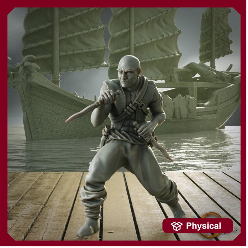 Swashbuckler Pirate Rogue Two daggers | Sea encounter | 28mm, 32mm,54mm,75mm,100mm Scales | Player Character D&D 5e Pathfinder Figurine - Only-Games
