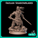 Faolan Shadowblades - Celt Warrior