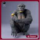 Chimpanzee Female Eating 1/43