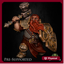 Dolgurn Bloodcoat  [PRE-COLORED] Dwarf Fighter