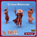 Elemdar Bodyguard & Nobleman