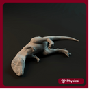 Carcharadontosaurus hatchling sleeping on back