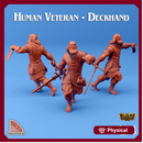 Human Veteran - Deckhand
