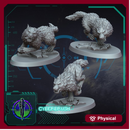 Skjoldfang Wolves