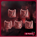 Crimson Wings Squad Bodies Set x5