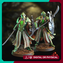 Elf Warriors