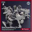 Heavy Weapons Team. Sandshroud battalion. Imperial Guard. Compatibility class A.