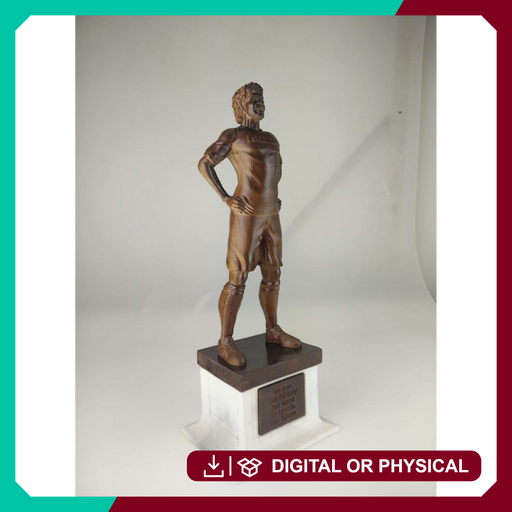 Chris Kamara - Footballer Statue - Only-Games