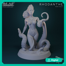 Rhodanthe