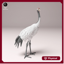 Red-Crowned Crane  1/32