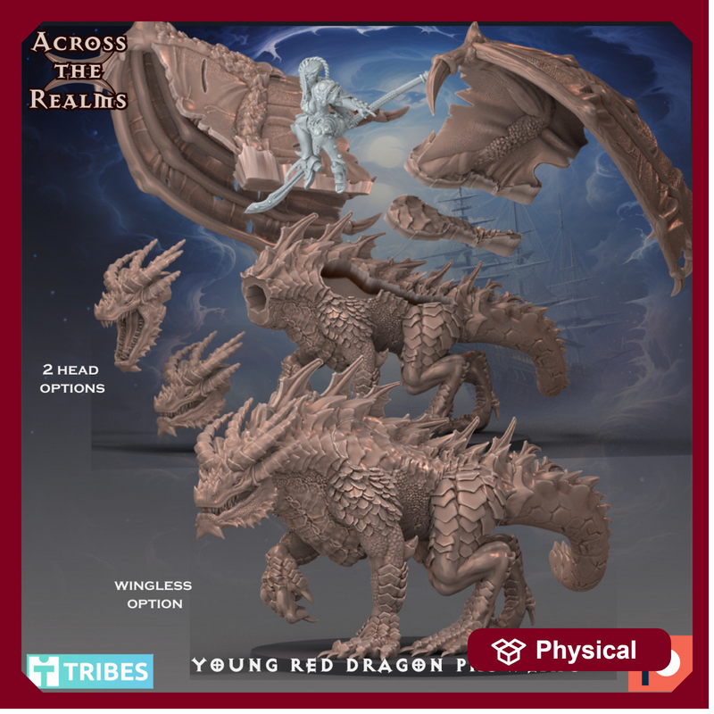 Young Red Dragon Prowling - Only-Games