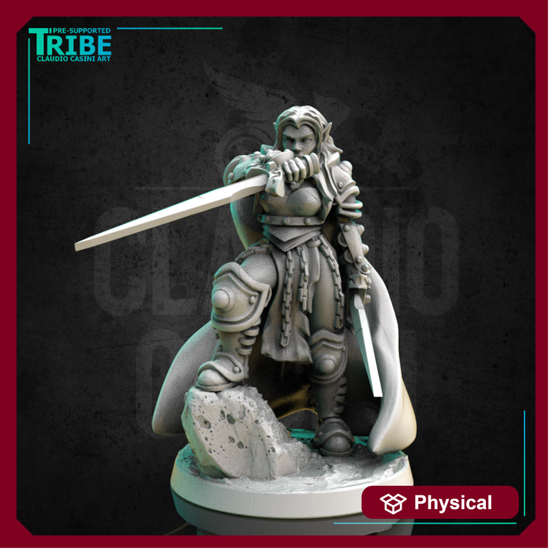 (0271) Female human tiefling firbolg half orc elf warrior paladin fighter with a swords and armor