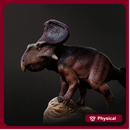 Protoceratops standing 1-20 scale dinosaur