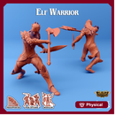 Elf Warrior