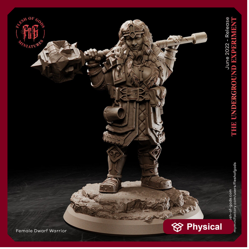 Dwarf Female Fighter Cleric | 28mm,32mm Scale ,50mm Tall | Dungeons and Dragons | Figurine mini - D&D 5e | Flesh of Gods - Only-Games