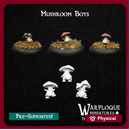 Mushroom Boys x 12