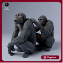 Chimpanzees Grooming 1/43