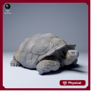 Galapagos Giant Tortoise Lying 1/87