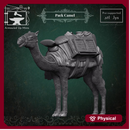 Pack Camel