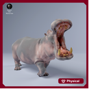 Hippo 1/43