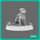 CT Pound Patrol Boxer Canine Tactical Specialist, Ranger
