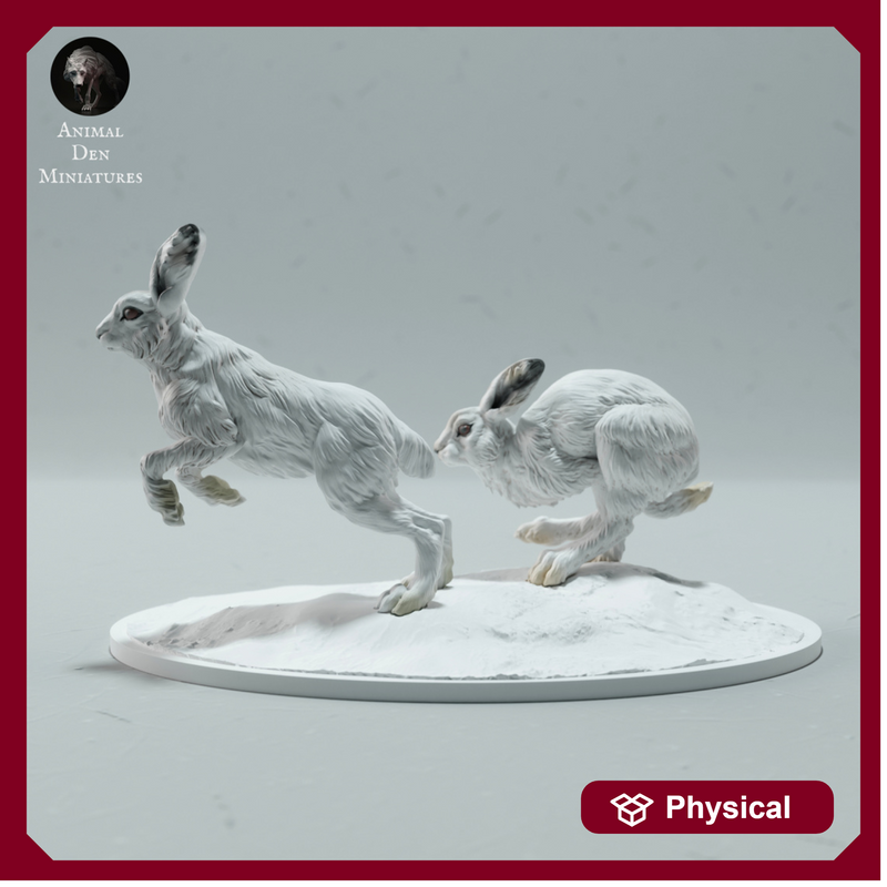 Arctic Hares Run 1/45