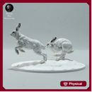 Arctic Hares Run 1/45