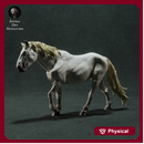 Camargue Horse 1/43