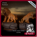 Kojo and Sora - Lions