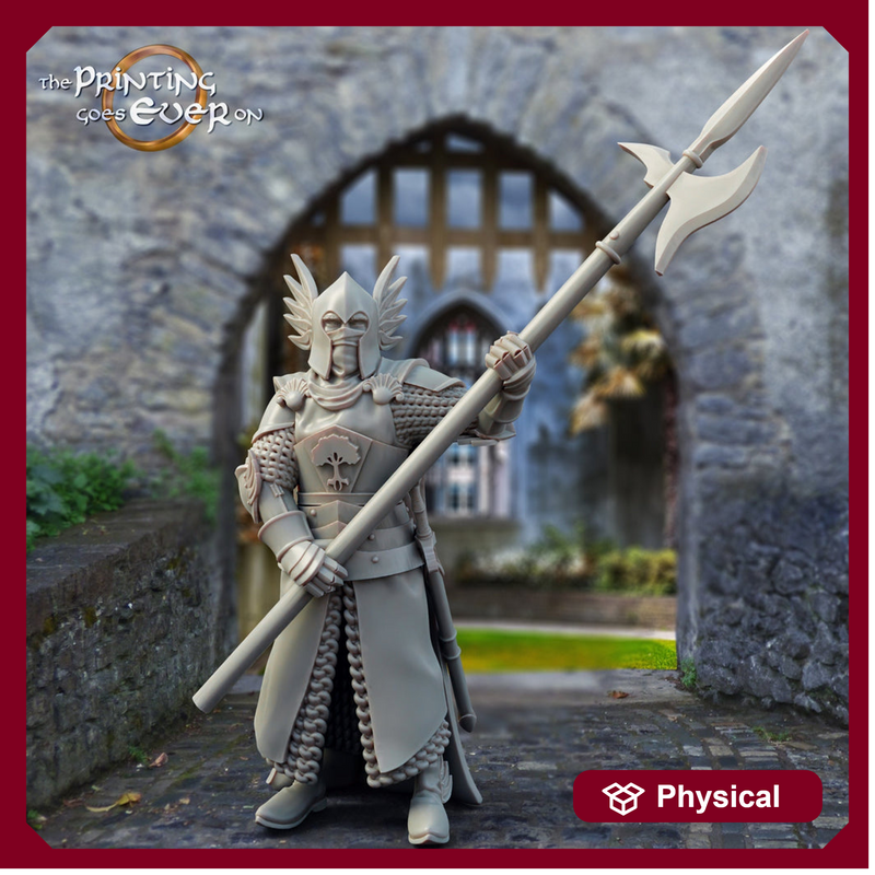 Human Paladin Knight Fighter with Polearm | 28mm, 32mm, 75mm Scales | Pathfinder Figure | DnD 5e | The Printing Goes Ever On | | - Only-Games