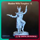 Shadow Wife Templar - E (Female Rogue)